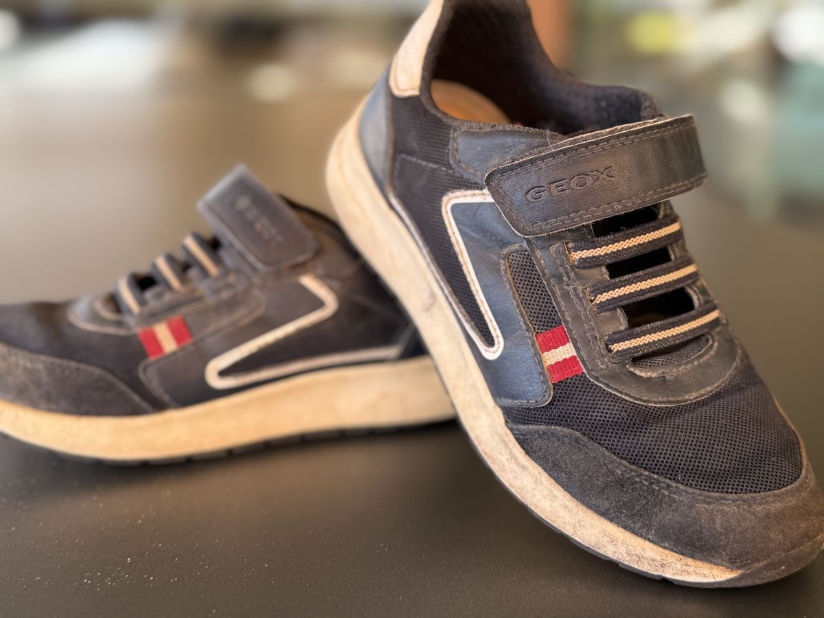 Geox Schuhe für Jungen: Sneakers Geox (Gr. 31) – Gebraucht aus Bern von estrellita2014 1