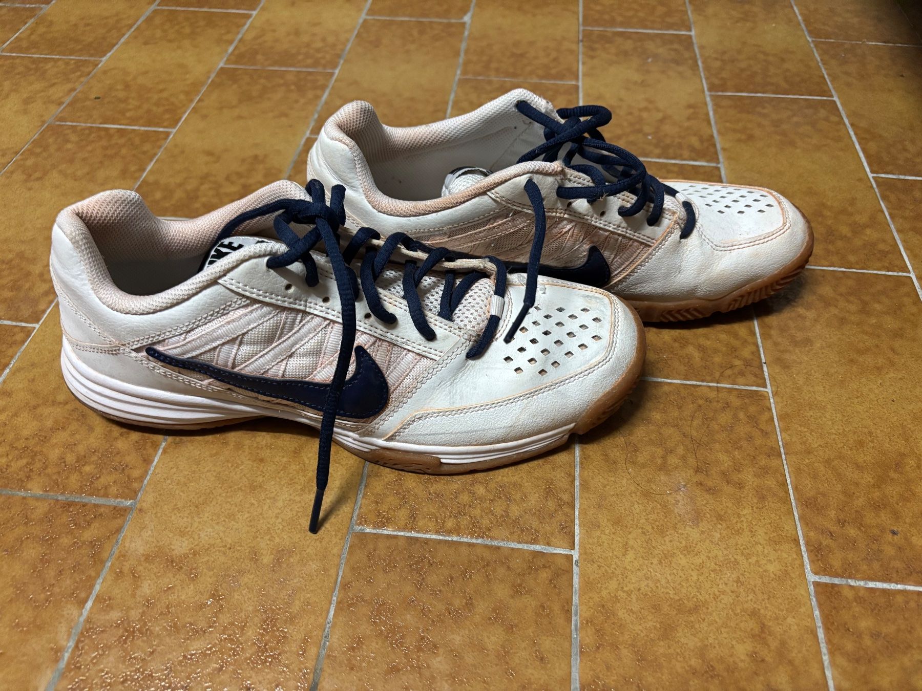 Nike Scarpe da uomo: Tennisschuhe – Usato da ZOLLIKON venduto da FamilleArleti 3