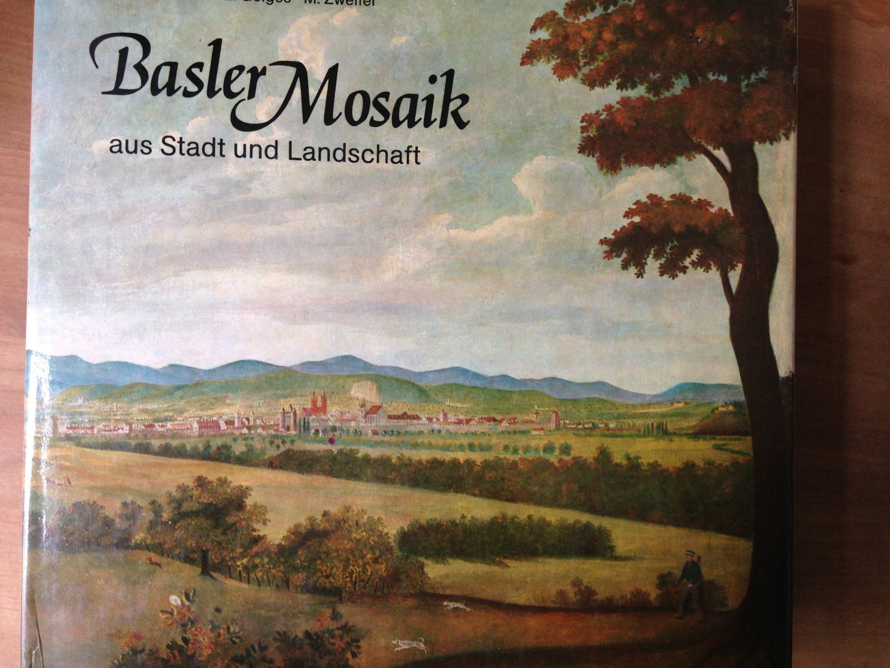 Livres: Basler Mosaik – Neuf (Voir description) à Winterthur par bgrpf