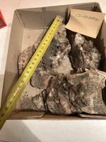 Mineralien