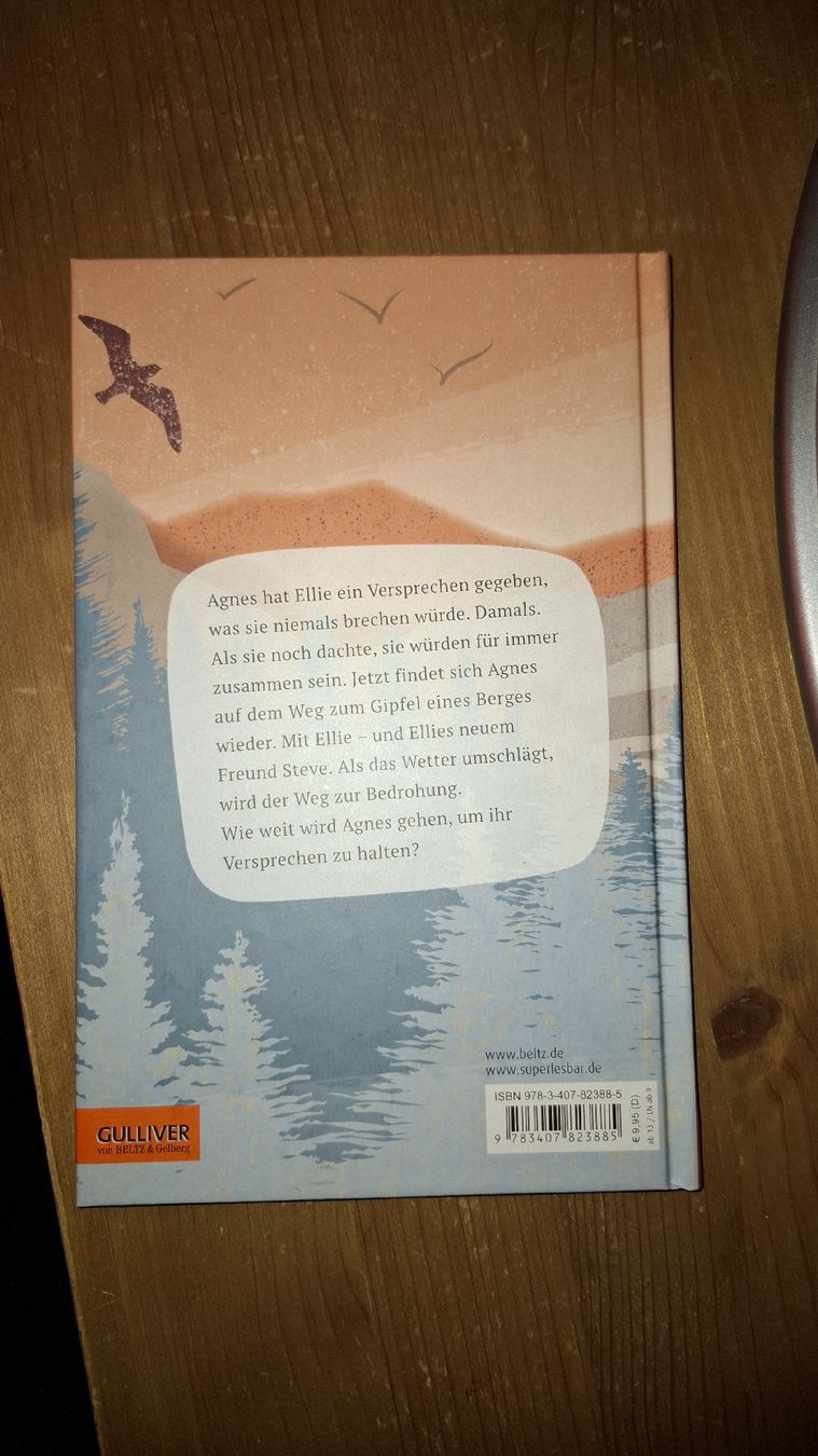 Libri: Wie weit will ich gehen, um ein Versprechen zu halten – Nuovo (secondo la descrizione) da Aesch BL venduto da fabi.07 1