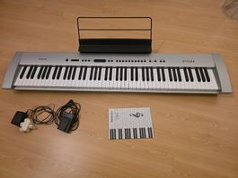 E-Piano - Technics Digital Piano SX-P50