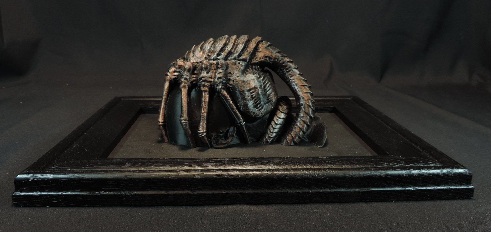 Statuette: Alien Facehugger Skulptur im Holzrahmen – Usato da Duggingen venduto da roterbambus 3