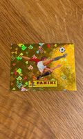 🔥Panini FWC 00