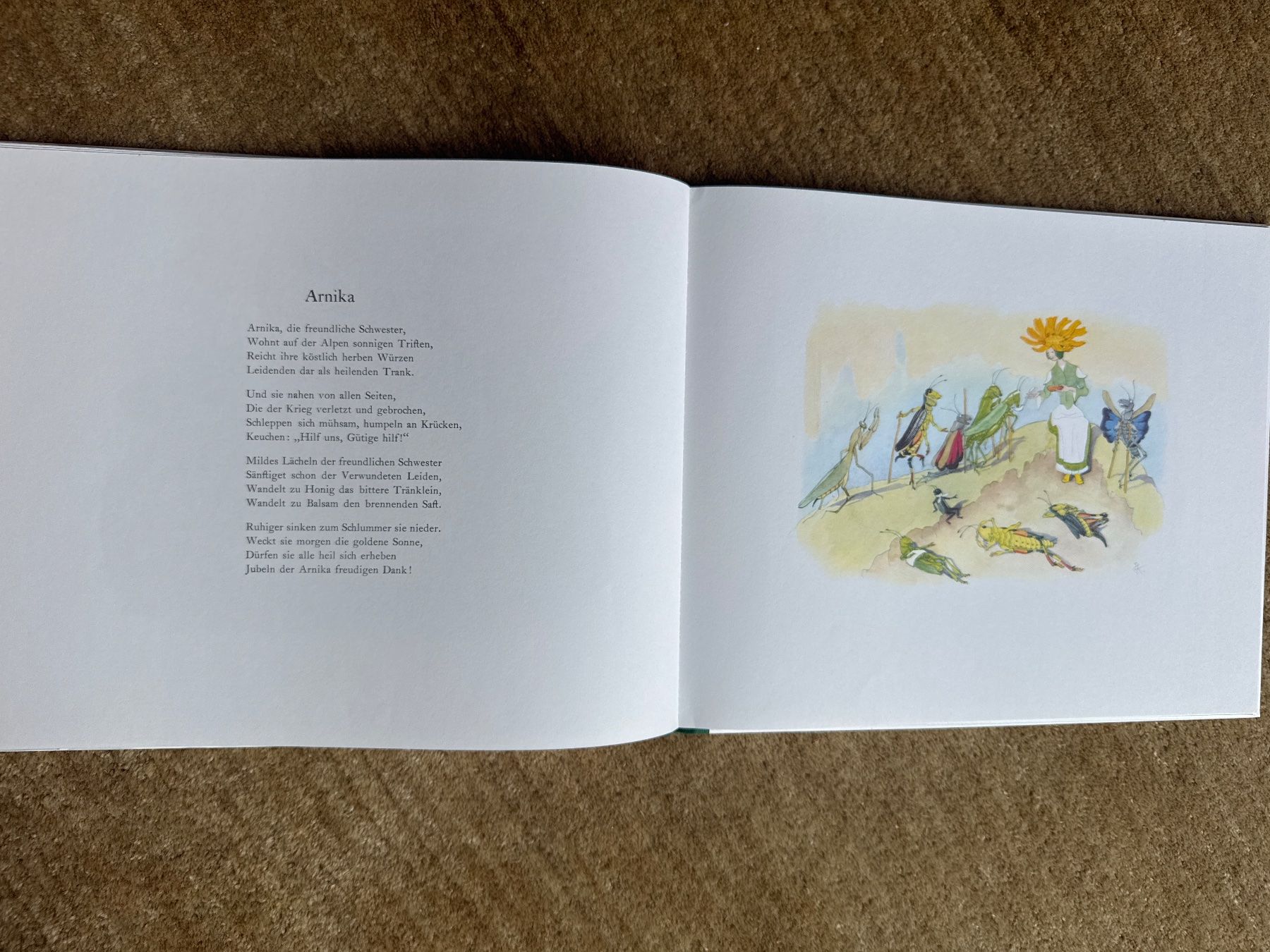 Libri: Alpenblumenmärchen - Ernst Kreidolf – Usato da Aarau venduto da Kilauea 5