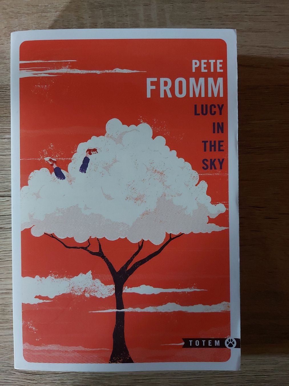 Libri: FROOM Pete - lucy in the sky – Usato da Botyre / AYENT venduto da bot_9gps