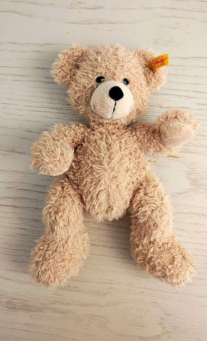 Steiff Spielzeuge: Fynn Teddybär Steiff – Gebraucht aus Bülach von Surbetone 1