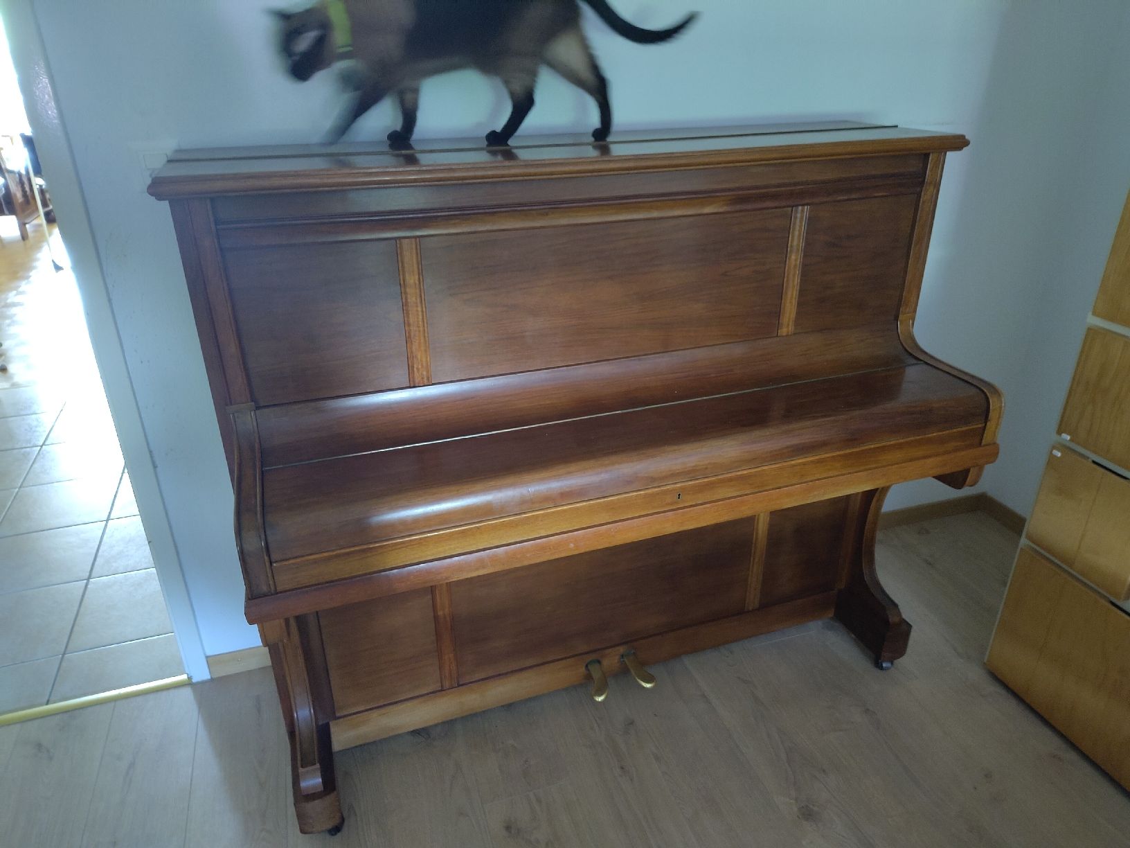 Strumenti musicali: Piano Burger & Jacobi, circa 1900-1920 – Usato da Fribourg venduto da Syxal
