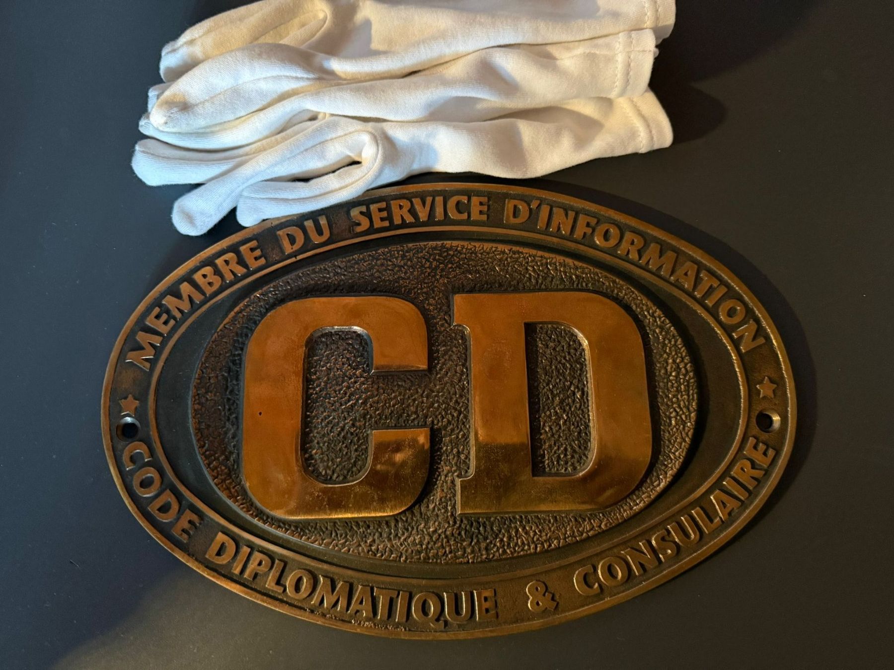 Insegne: Diplomatie Symbol-Schild – Usato da Nussbaumen AG venduto da BanaanaJoe 2