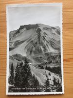 Klewenalp - Tannenbühl mit Schwalmis - AK