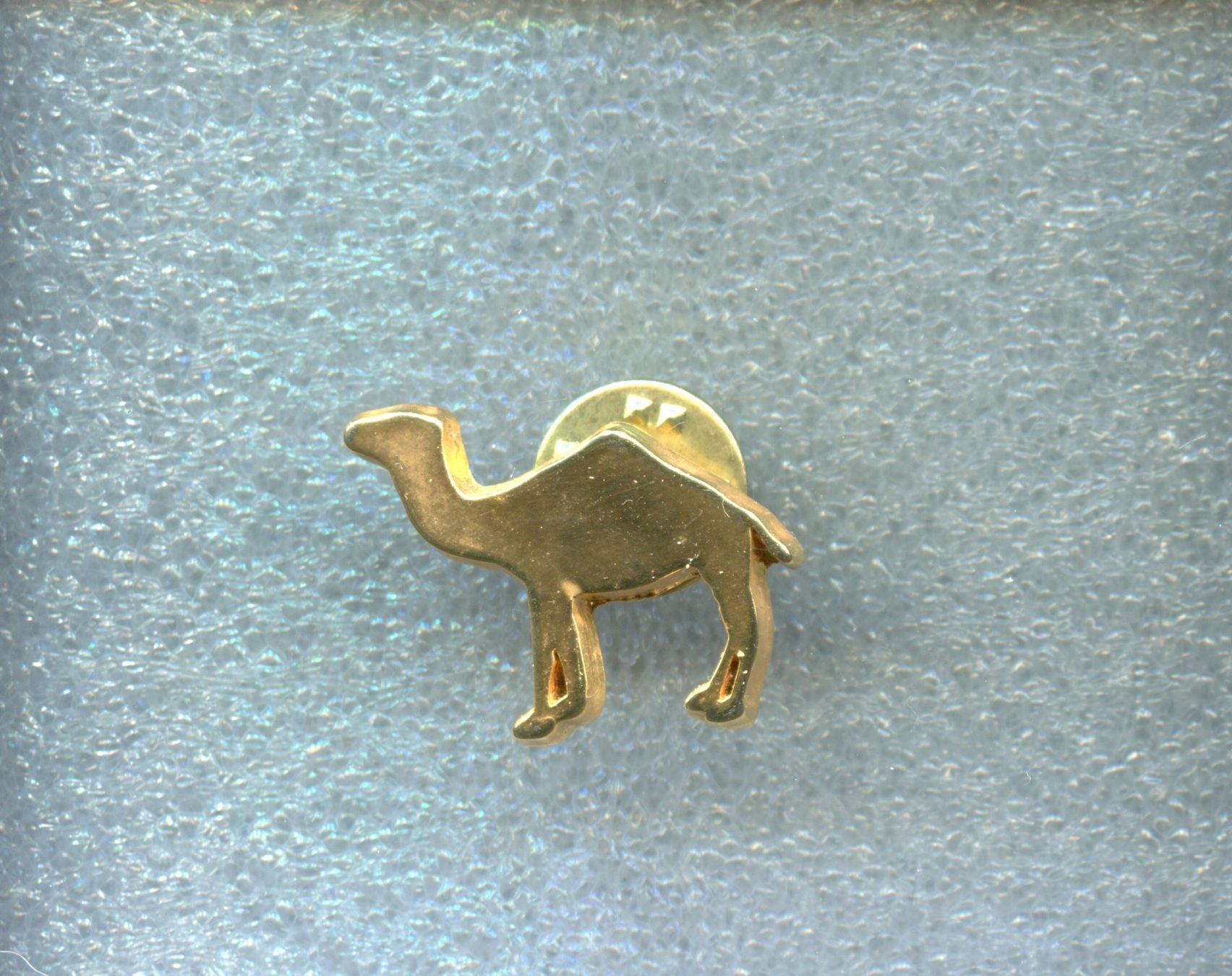Camel Placchette & Badge: CAMEL – Usato da Winterthur venduto da Sammleroase