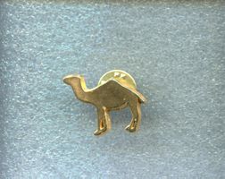 CAMEL