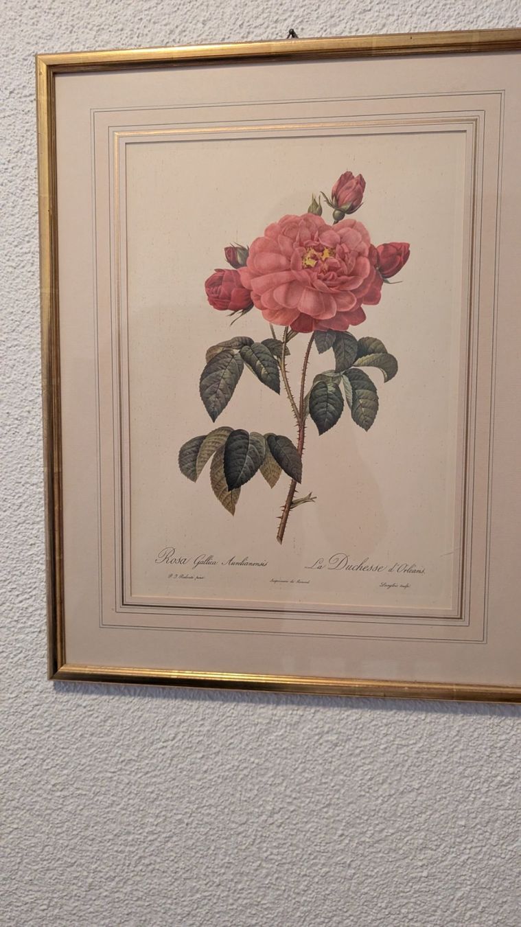 Stiche: Vier Stiche mit Rosenmotiven – Gebraucht aus Ittigen von stoney63 2