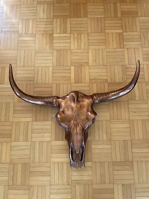 Tutte le decorazioni: Wanddekoration Bison Schädel – Usato da Luzern venduto da Claudius_Schumacher 1