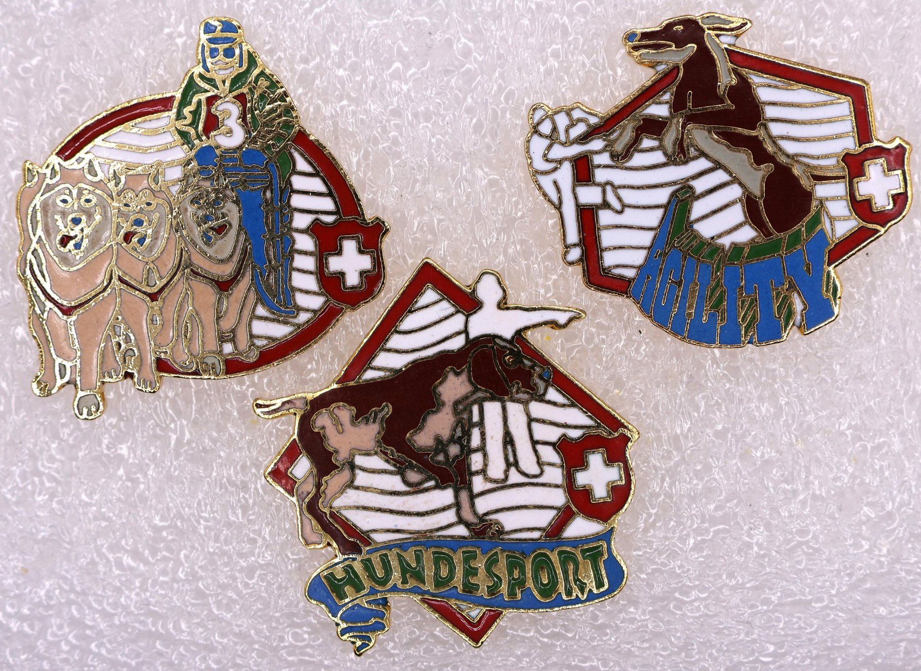 Placchette & Badge: 3 Pins  HUNDESPORT – Usato da Winterthur venduto da Sammleroase