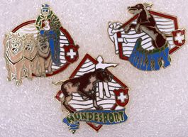 3 Pins  HUNDESPORT