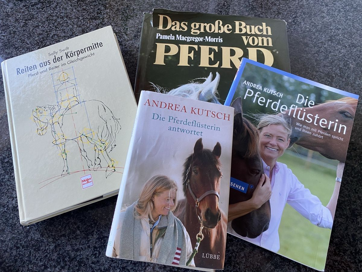 Libri: Pferde Bücher 6 Stck – Usato da St.Gallen venduto da Design04