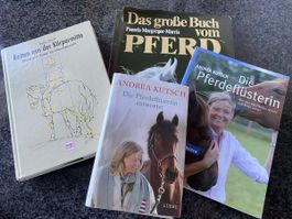 Pferde Bücher 6 Stck