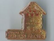 Schloss Brandis Maienfeld, Pin