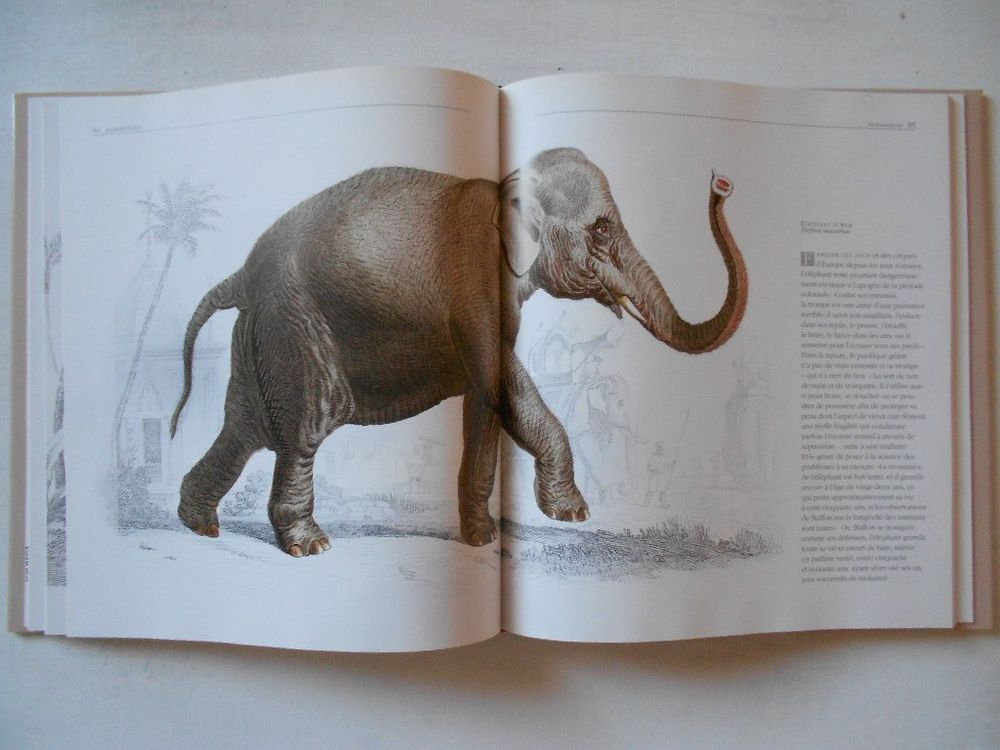 LES ANMAUX VUS PAR LES GRANDS MAITRES Kaufen auf Ricardo