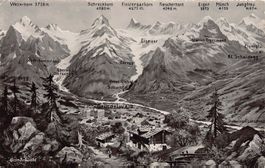 VOGELSCHAU: Grindelwald, gelaufen 1950