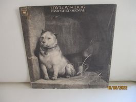 Pavlov's Dog – Pampered Menial