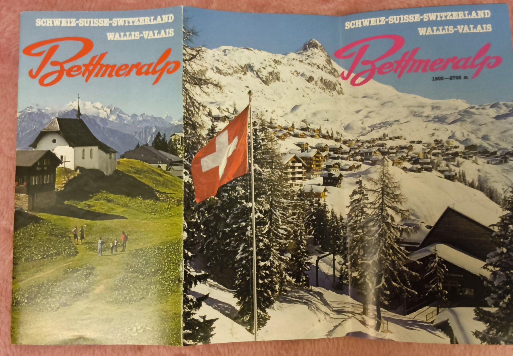 Documenti: Konvolut 8 ältere Prospekte Oberwallis – Usato da Hallau venduto da histoiremerveilleuse 6