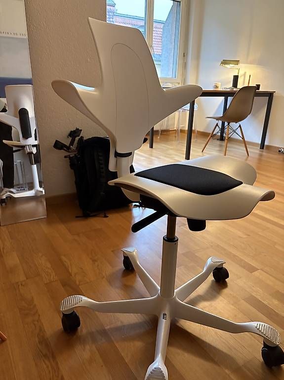 Sedie: Haag Capisco ergonomischer Bürostuhl – Usato da Bern venduto da Baumwall 1