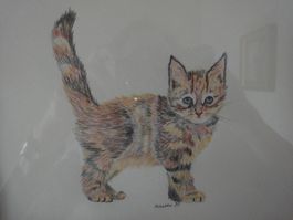 Katze: Farbstiftzeichnung sig. (1990)