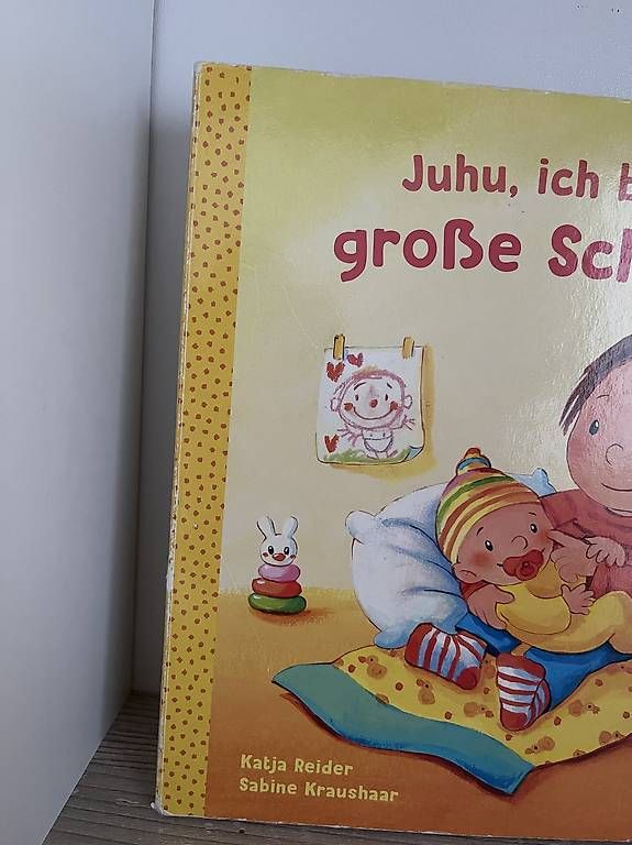 Libri: Kinderbuch Geschwister/Baby – Usato da Wil SG venduto da bea_zl8t 1