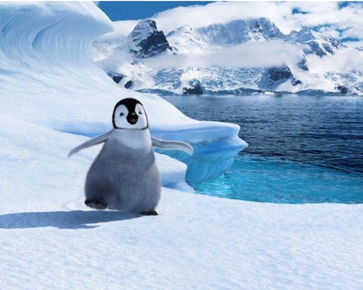Tutti i DVDs: Happy Feet - DVD – Usato da Dietikon venduto da Ruempfli 2