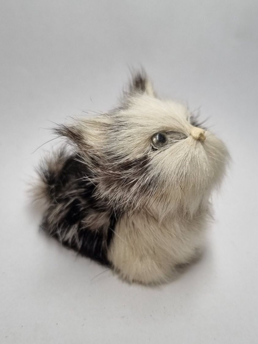 Figuren: Katze sitzend klein Echtfell – Gebraucht aus Basadingen von tot_59zf 1