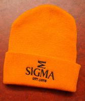 COLLECTORS STUFF Sigma Guitars Beanie