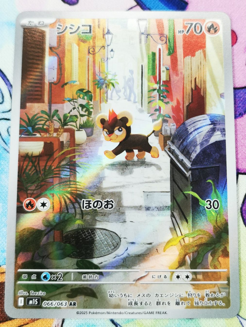 Pokémon Sammelbilder & Trading cards: Pokemon Litleo AR 066/063 Mega Symphonia JP – Neu (gemäss Beschreibung) aus Cousset von PokePlus