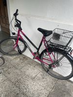 Koga Miyaki Fahrrad