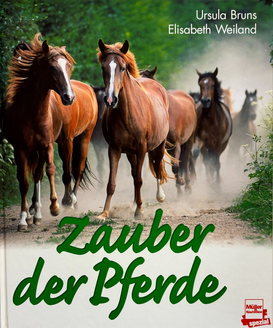 Libri: Zauber der Pferde – Nuovo (secondo la descrizione) da Sarnen venduto da Livres