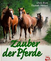 Zauber der Pferde