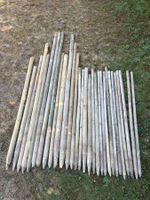 Holzpfähle rund imprägniert gebraucht 30 Stück