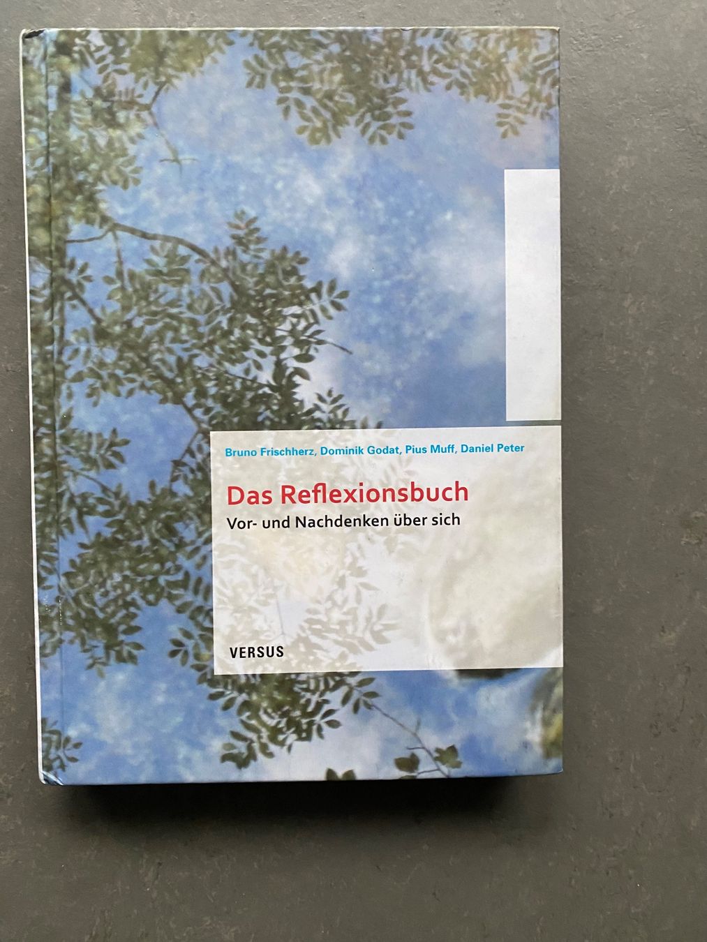 Libri: Reflexionsbuch für Studium & Beruf - wie neu – Nuovo (secondo la descrizione) da Dallenwil venduto da kavogt6