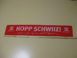 Fussball kleine Schaal für Auto oder Home Nati Suisse Hopp