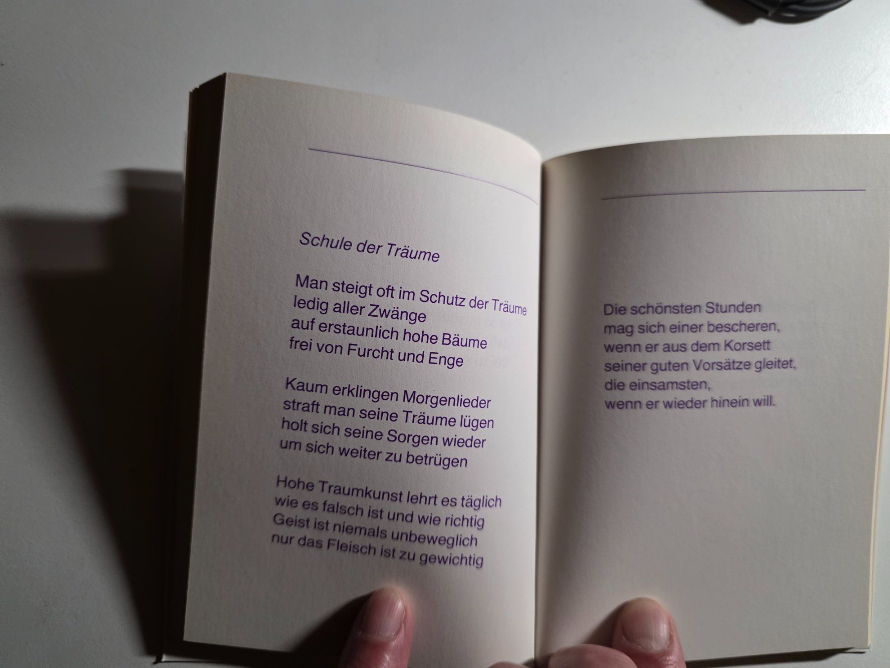 Libri: Peter Horton - Die andere Saite - Naumann 1981 – Usato da Walterswil BE venduto da Lonitti 7