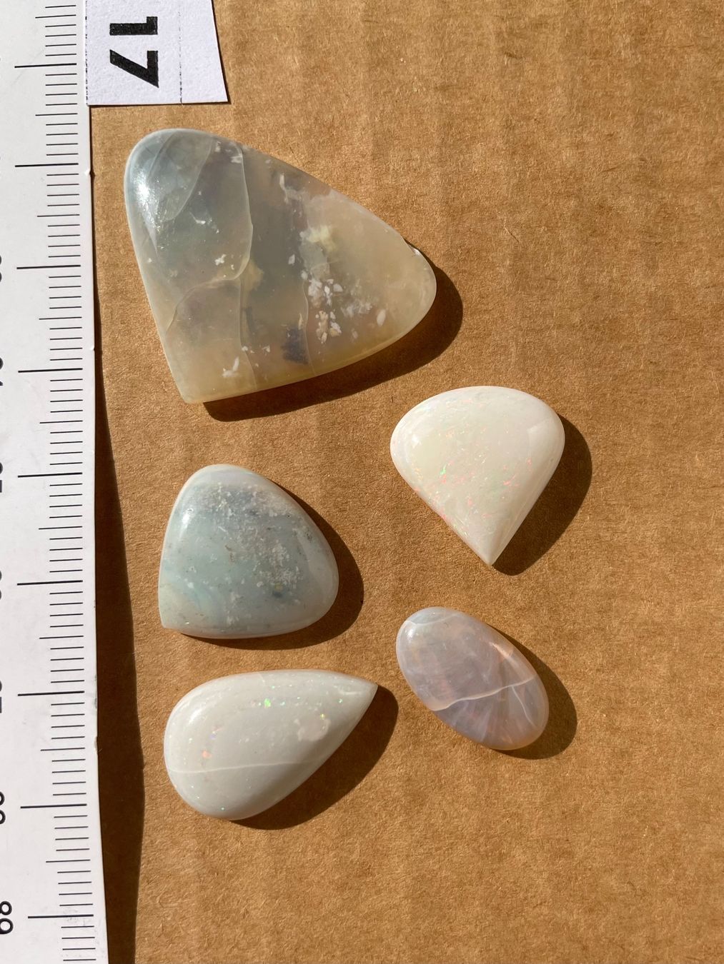 Fossilien: 5 Stk  Cabochons Opal echt  neu gross    LOT  Sammlung – Neu und originalverpackt aus Leuggern von gemshow 9