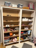 Bookshelves and tv furniture