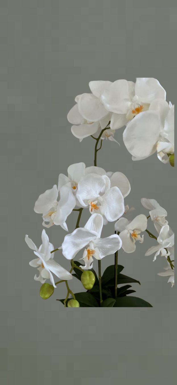 Pflanzen & Samen: Kunstpflanze Orchideen weiss mit Kunsterde – Neu und originalverpackt aus Emmen von codici 1