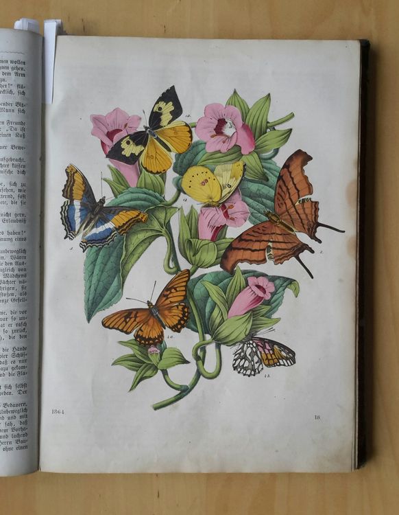 Livres: Das Buch der Welt 1864 . Karl Hoffmann , Stuttgart . – D'occasion à Burgdorf par Olli.34