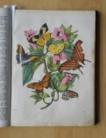 Das Buch der Welt 1864 . Karl Hoffmann , Stuttgart .