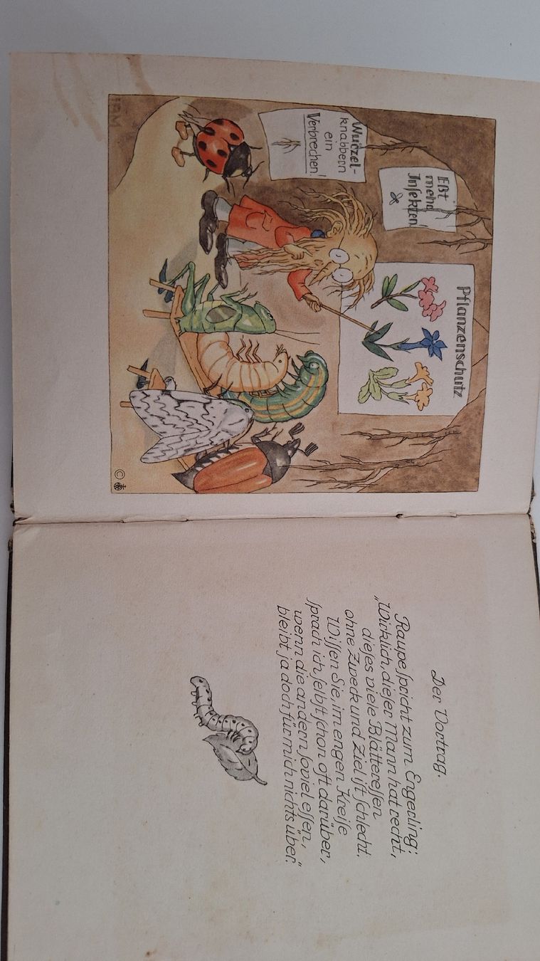Livres: Bei den Wurzelmännlein – D'occasion à Muttenz par Biniruf 2