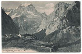 Baumgartenalp mit Tödi, um 1905-10