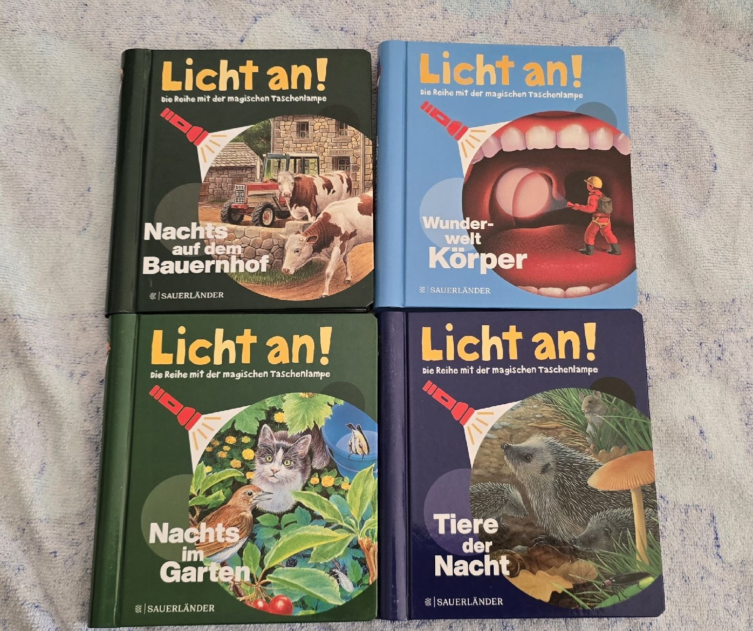 Libri: Licht an! 4 Bücher – Nuovo (secondo la descrizione) da Basel venduto da Nerea07