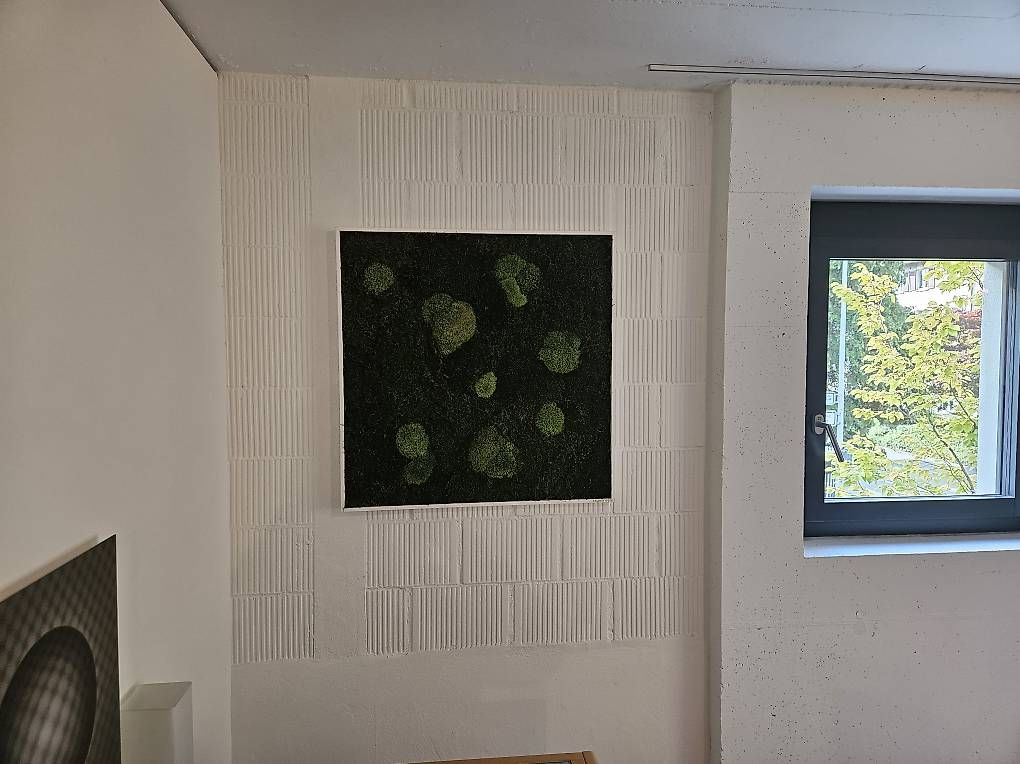 Tutte le decorazioni: Moosbild Wandbild aus Moos Kugelmoos 80x80 – Usato da St. Gallen venduto da Rvrs1979 4